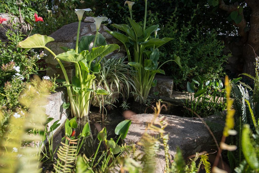 Villa Eleonas วามอส ภายนอก รูปภาพ